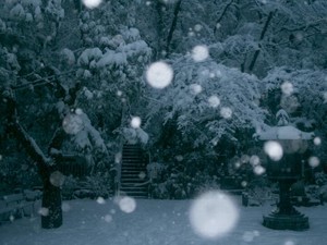 舌の上に広がるせんべい汁の味。温かい記憶とこぼれ落ちた方言