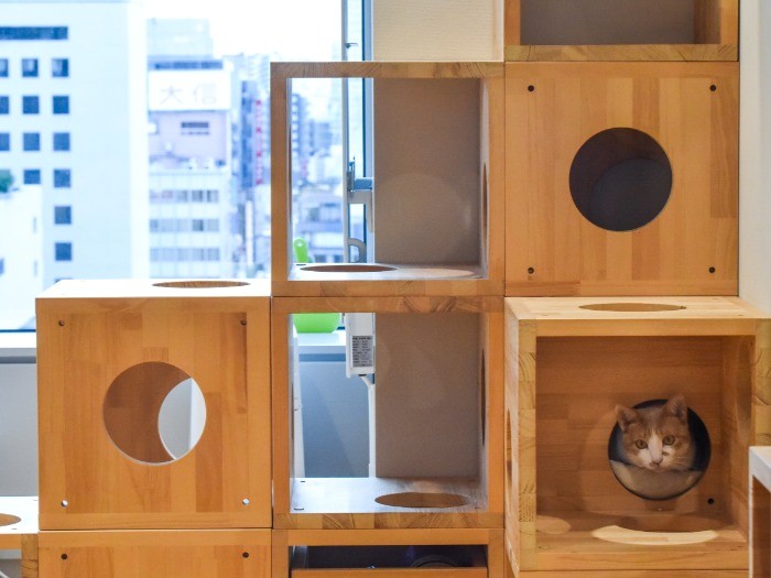 「また明日！」