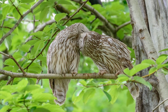 幸せそうなカップルの写真も（画像提供：yupi_hokkaidoさん）