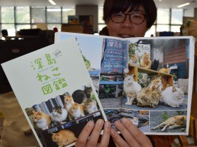 「猫の島」深島の猫１００匹　名前や顔を「ねこ図鑑」で紹介