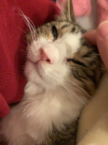 「おねえちゃんが帰ると迎えにいきます」（うえみさん提供）