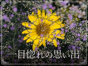 一目惚れの思い出