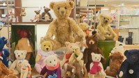 ドイツ・シュタイフ社製など…世界中のテディーベアを集め展示販売　岡山高島屋