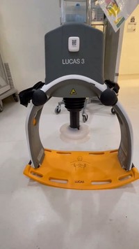 これが「ルーカス」！（月岡祐介さん提供）