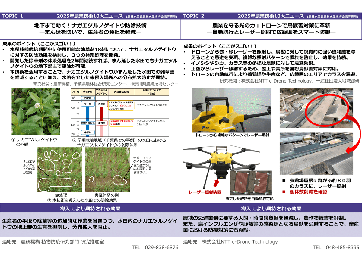 2025年農業技術10大ニュース ナガエツルノゲイトウ防除技術など
