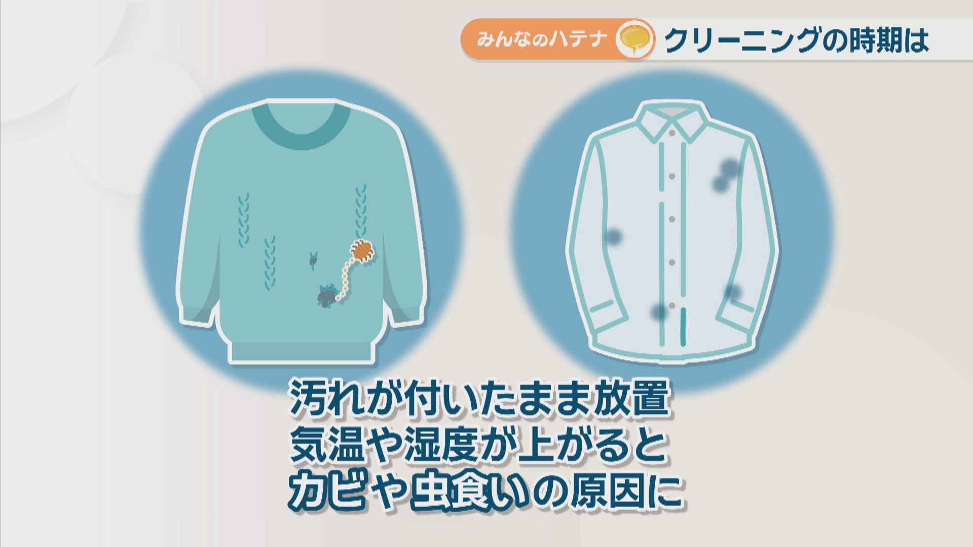 ダウンは家でも洗える？原油高騰の影響は？ クリーニング会社に聞いて