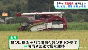 猛暑や品薄への対策で良質な米の生産を　宮城県の稲作について方針