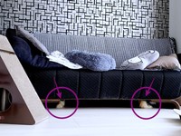 お迎え直後、剛くんと健ちゃんはソファから出てこないことも（画像提供：ほとぷぅとごうとけんさん）