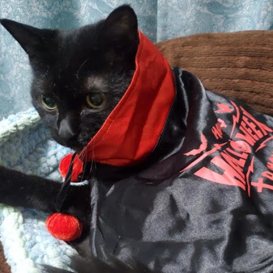 「鳴く子はいねえか」（それ君のことよ）