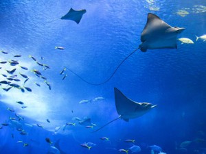 体調不良の私への彼の気遣いは、忘れられないプレゼントになった