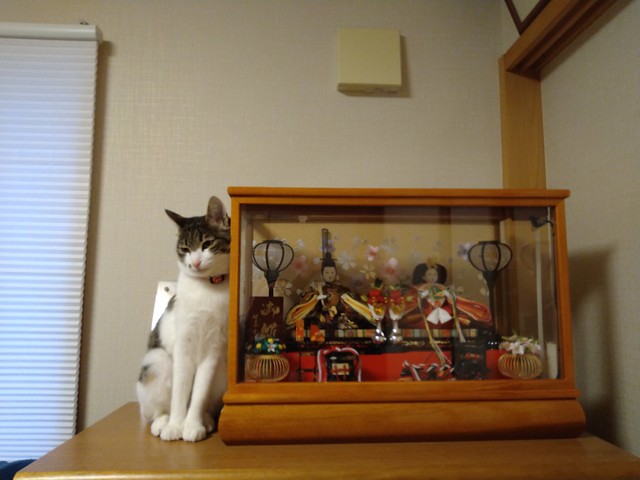 わかちゃん、初節句でした