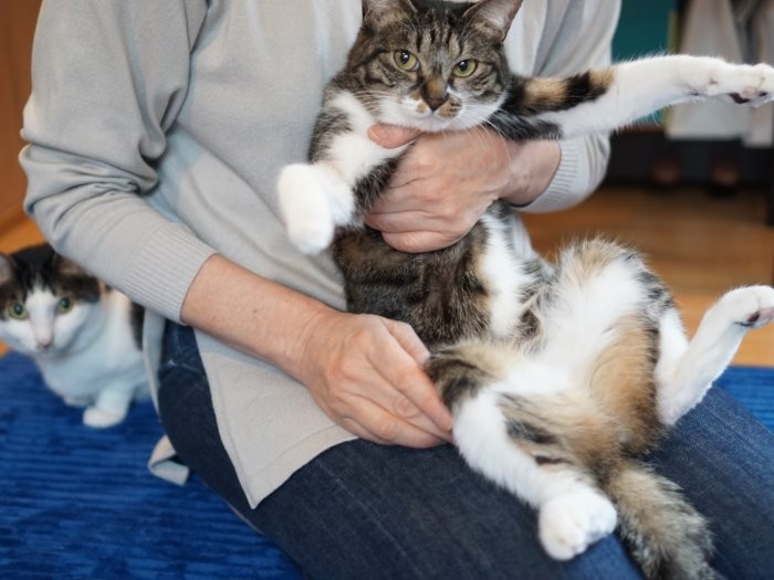 やんちゃで男の子みたい