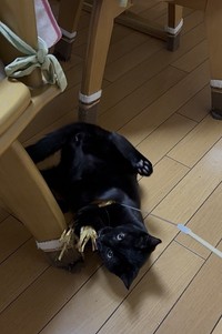 一緒に遊ぶ時間は、かけがえのないものになっている