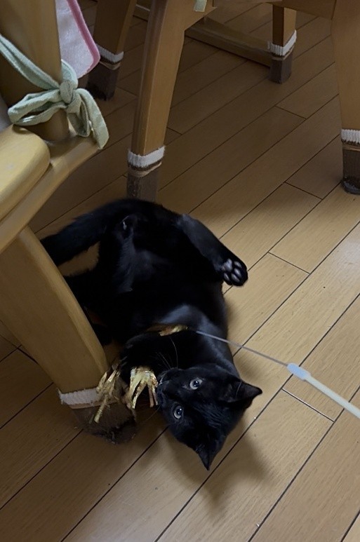 一緒に遊ぶ時間は、かけがえのないものになっている