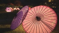 岡山後楽園「秋の幻想庭園」 を彩るライトアップ　高校生を対象にデザイン募集