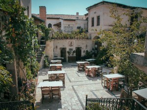 「お姉ちゃん」と叫びたくなるほどに、近づくことができるなんて