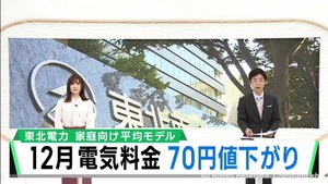 １２月分の電気料金値下がり　燃料価格下落により　東北電力