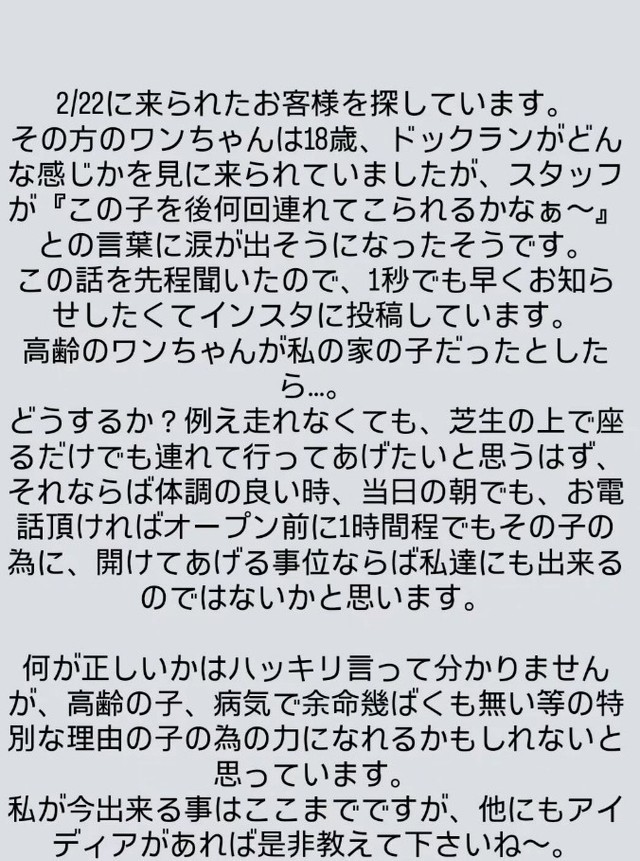 ワクチン接種に関する規則を理由に利用できなかったという18歳のシニア犬「ハルくん」の飼い主さんへ向けた投稿が話題に（「GREEN TAIL CAFE」さん提供、Instagramよりキャプチャ撮影）