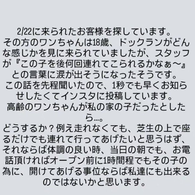 ワクチン接種に関する規則を理由に利用できなかったという18歳のシニア犬「ハルくん」の飼い主さんへ向けた投稿が話題に（「GREEN TAIL CAFE」さん提供、Instagramよりキャプチャ撮影）
