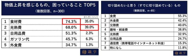 最も物価上昇を感じるもの、困っていること／賃上げされないことで、切り詰めたいと思う（すでに切り詰めている）項目（提供画像を組み合わせています）