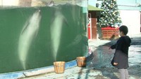 クリスマス限定イルカショーに小学生が出演　香川・高松市