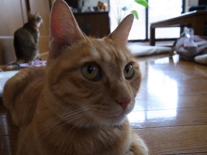 つかず離れずの距離感だけど、仲良し