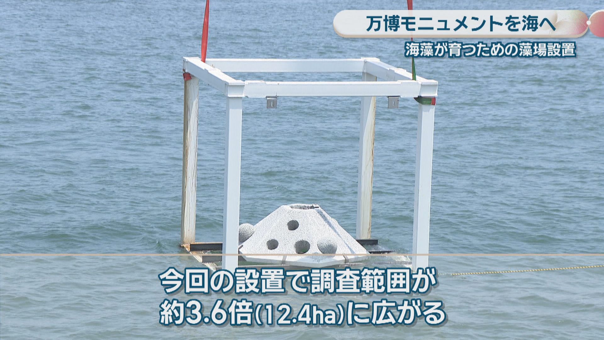海を創る 海藻育てる構造物を海に設置 大阪・関西万博のモニュメントも活用 高松