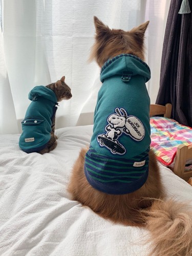 愛らしい後ろ姿