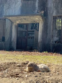 発電所跡地は多くの観光客が訪れる人気スポット（記者撮影）