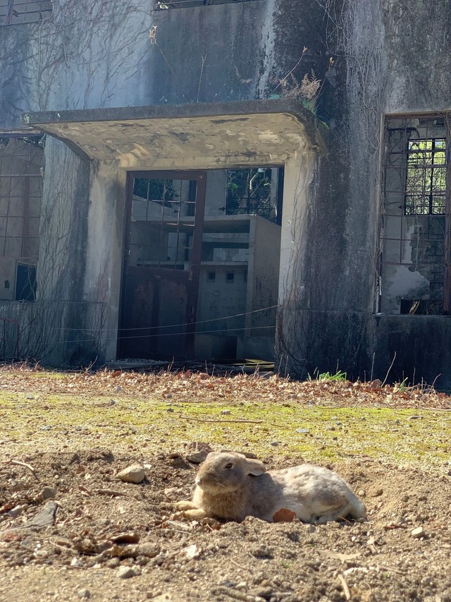 発電所跡地は多くの観光客が訪れる人気スポット（記者撮影）