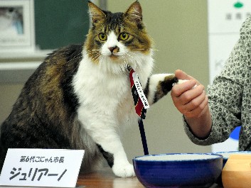 ジュリアーノ６代目市長に　仮想都市「こにゃん市」