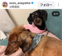朝山すず(@suzu_asayama)さんのインスタグラムより