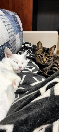 別の場所でも仲良し（提供：月生さん）