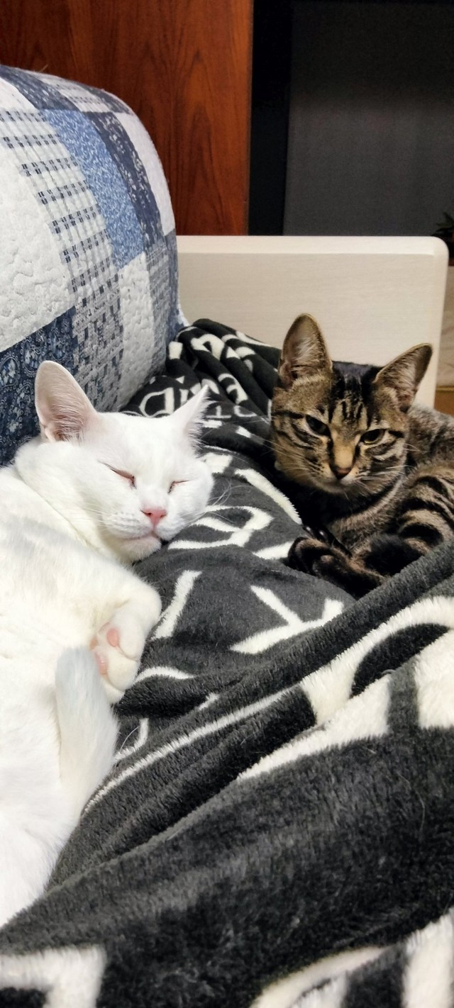 別の場所でも仲良し（提供：月生さん）