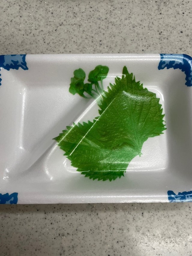 見れば見るほどリアルな“シソ” ／yuzupon.117さん（@yuzupon.117）提供