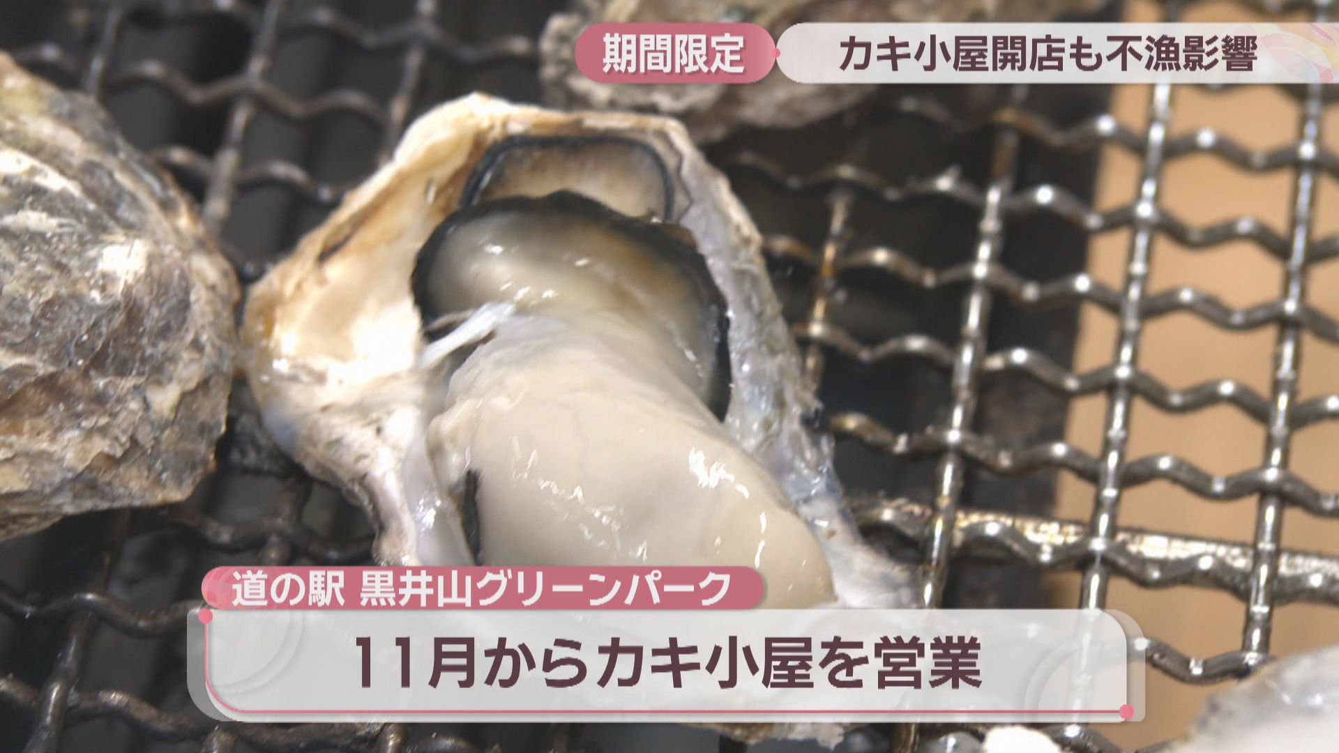96859a853f2cbdb7b52c70933accc9