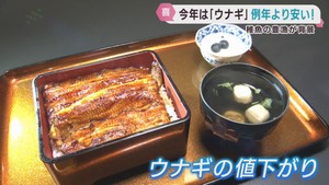 ７月２６日は土用の丑の日　例年よりウナギが安い