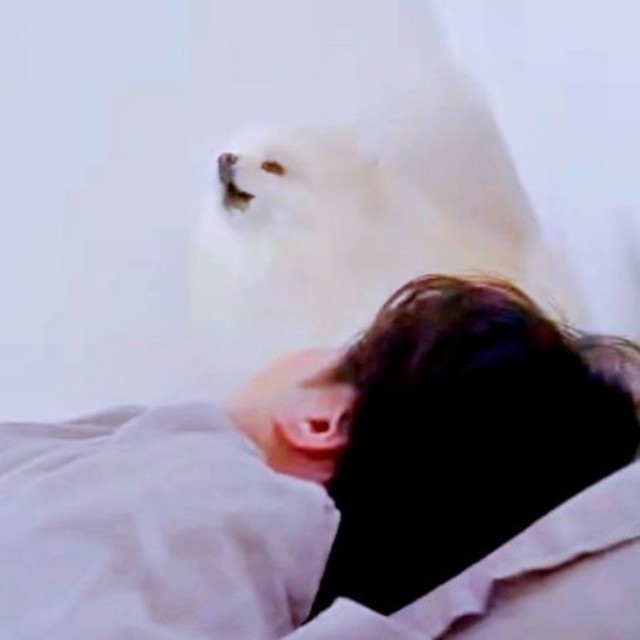 「ワウ〜」と低く抑え気味に鳴くコロ太くん（画像提供：コロ太くん）