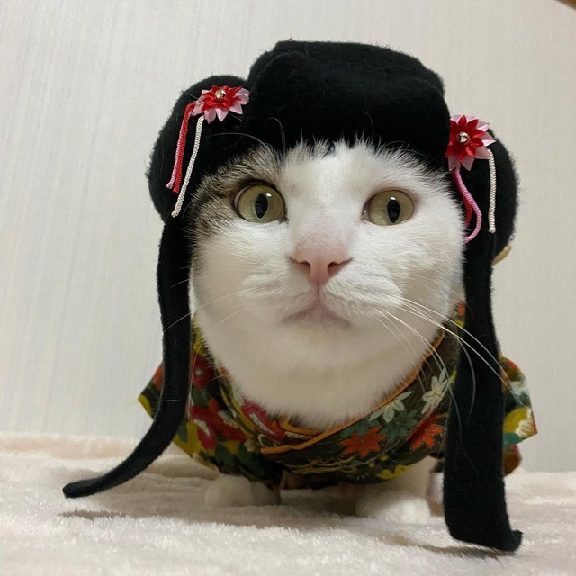 お正月にオシャレしたが、固まって動かず