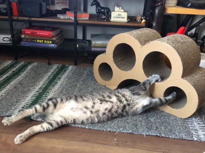 芸術的な伸び（山下さん提供）