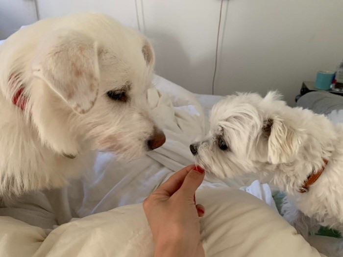 私たち、なんか似てるよね