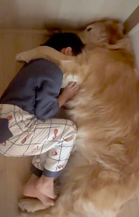 イヤイヤモードの三男くんが逃げ込む場所は、きなこちゃん（提供：@kinako_3brosさん）