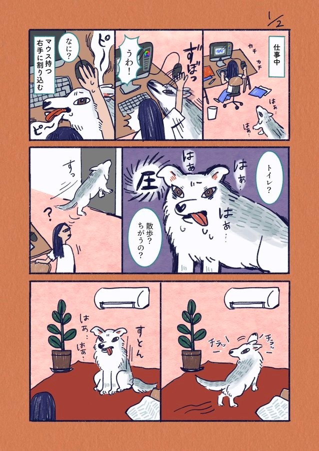 （漫画「デカい狼犬との日常」より／提供：riyaさん）