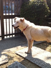 「お日様の光っていいね！」byヤマト