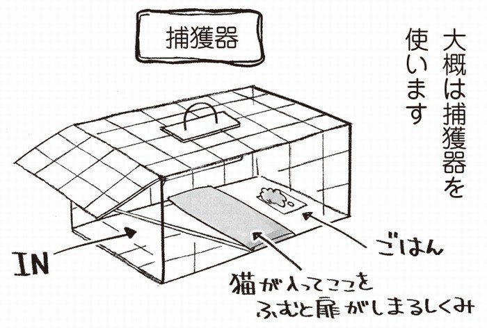 「まんがで読む はじめての保護猫」から