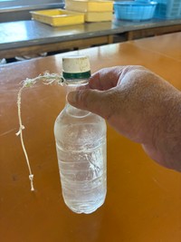 猫の首元とペットボトルを紐で繋がれていた（坂井さん提供）