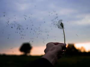 私にしか分からない先生の柔軟剤の香りは、卒業した今も私を振り回す