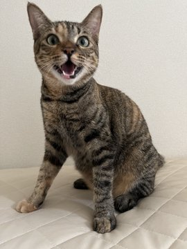 自分のことを世界で1番かわいいと思っているそう