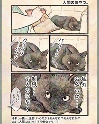 【漫画】『今日もネコ様の圧が強い』4　©Uguisu Utako