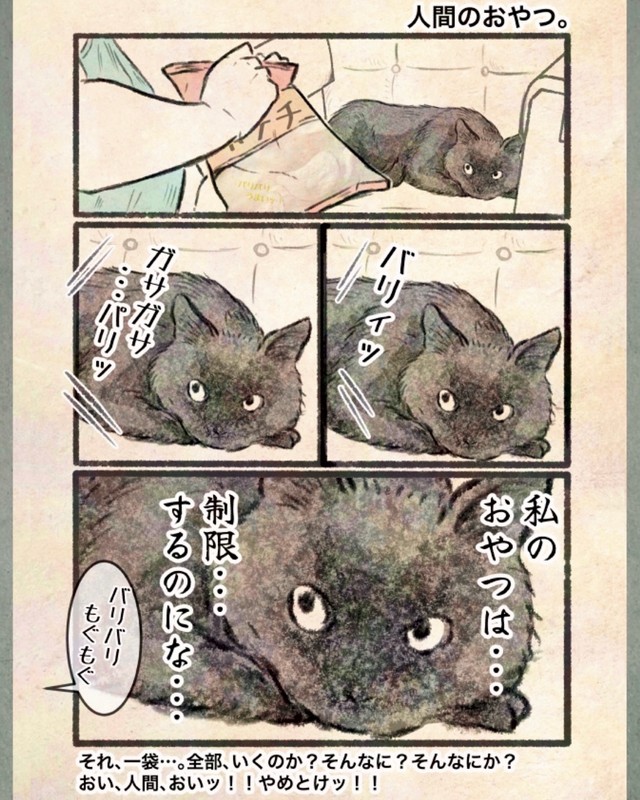 【漫画】『今日もネコ様の圧が強い』4　©Uguisu Utako